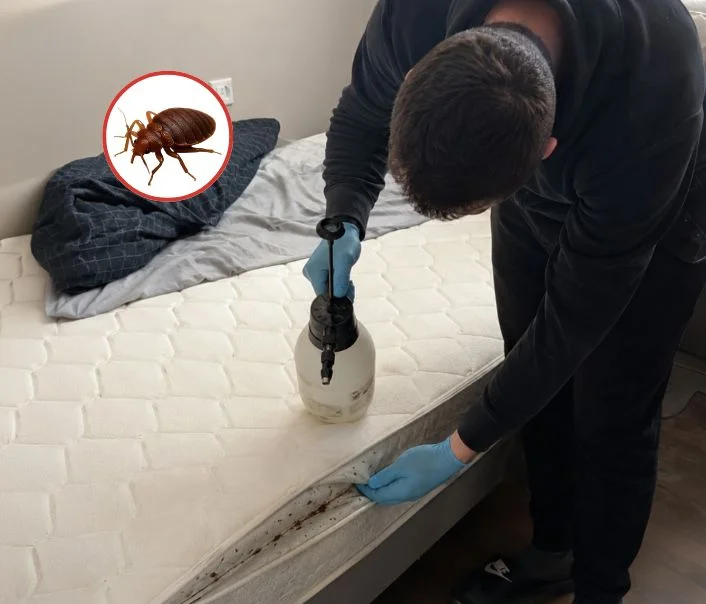 Technicien traitant un matelas contre les punaises de lit à Neuilly-sur-Seine